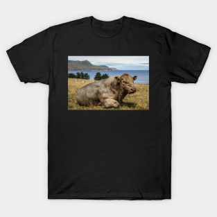 Paddock with View T-Shirt